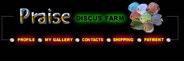Praise Discus Farm
